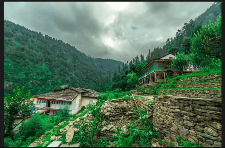 Jibhi